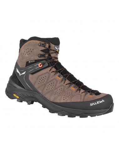 ALP TRAINER 2 MID GTX 