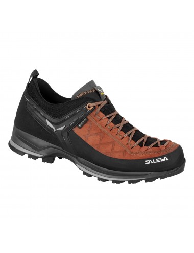 MTN TRAINER 2 GTX 