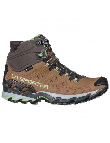 ULTRA RAPTOR II MID LEATHER GTX W 